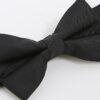 Black Bow Tie
