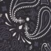 Black Regular Fit Paisley Border Shirt