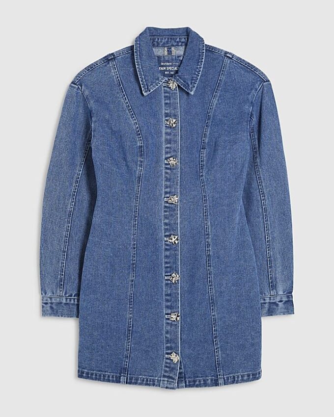 Blue Denim Seamed Dress