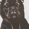 Boys White Frenchie T-Shirt