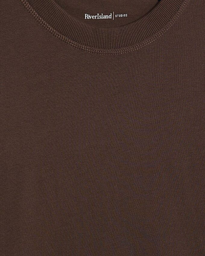 Brown Regular Fit T-Shirt