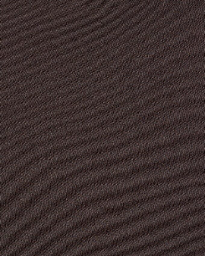 Brown Regular Fit T-Shirt