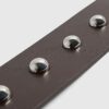 Brown Studded Belt