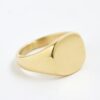 Gold Steel Signet Ring