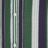 Green Regular Fit Stripe Shirt