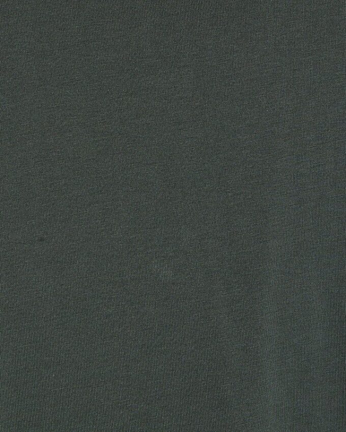 Green Regular Fit T-Shirt