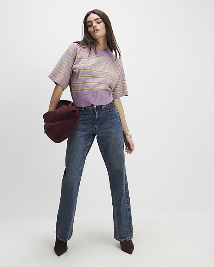 Purple Short Sleeve Striped Jumper