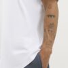 White Regular Fit Curve Hem T-Shirt